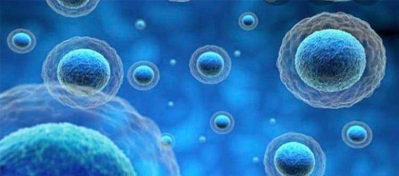 幹細胞ニキビ跡治療